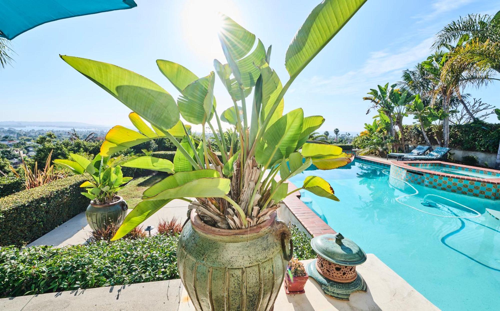 Spacious Guest House, Pool&spa, Close To Beach! * San Diego